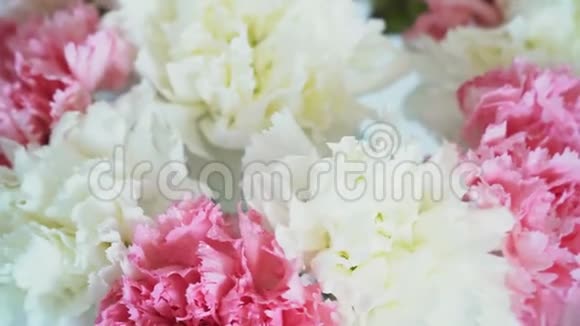花在白色背景上旋转花组成由石竹组成视频的预览图