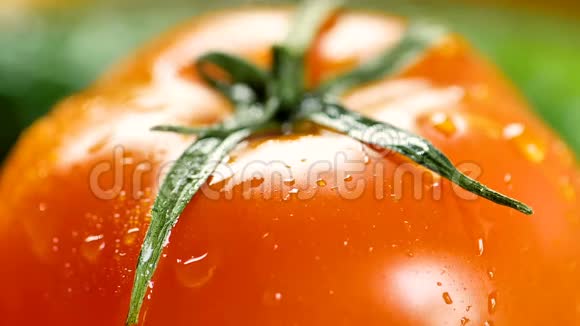 红番茄与水滴的特写视频的预览图
