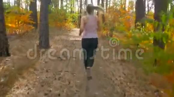4K镜头拍摄的苗条女子在秋林中奔跑的日落后景拍摄的年轻女子在阳光明媚的早晨在森林中慢跑视频的预览图