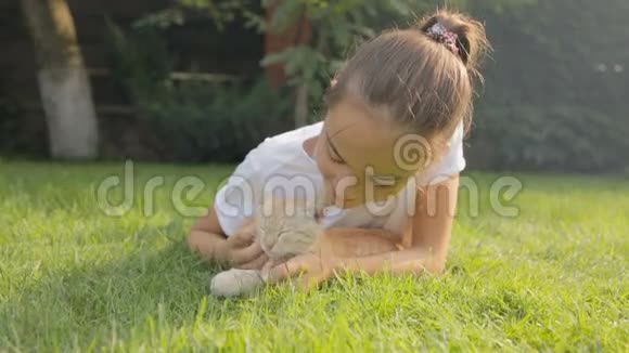 美丽的女孩在花园草地上抚摸和拥抱红猫的肖像视频的预览图