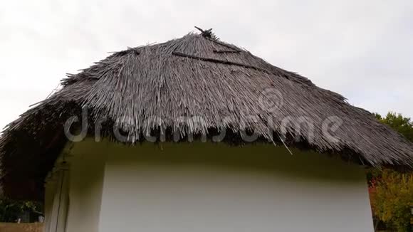 有茅草屋顶的古代房子视频的预览图