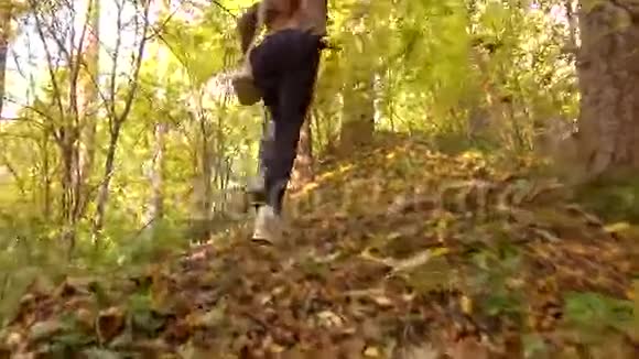 穿着棕色夹克的布鲁内特女孩在阳光明媚的秋天的树林里徒步旅行上坡4Ksteatam视频视频的预览图