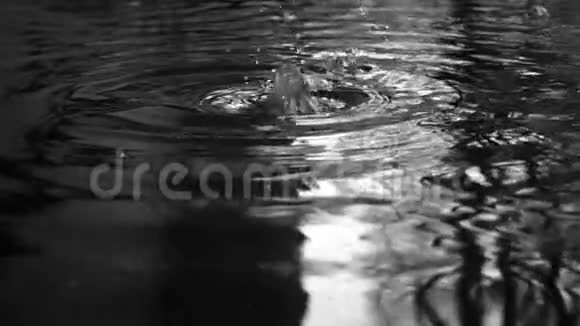 春季雨滴背景BW视频的预览图