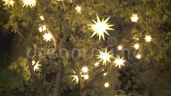 星型圣诞装饰和灯光视频的预览图