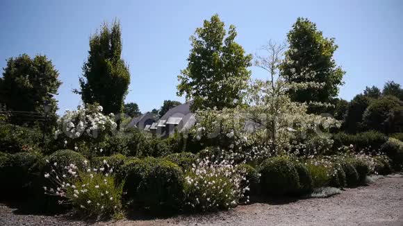法国诺曼底有树木和鲜花的花园视频的预览图