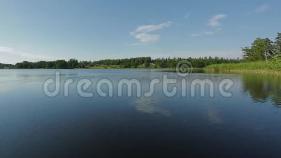 夏日美丽的湖景深蓝色的湖面绿色的高大树木和蓝天白云视频的预览图