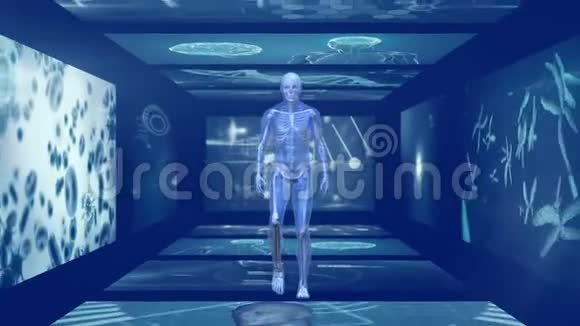 科学家屏幕三维人行走廊动画视频的预览图