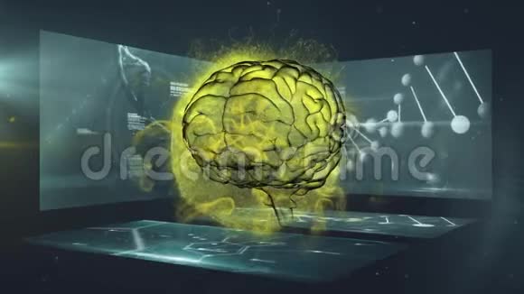 医学扫描屏幕上的3数字人脑视频的预览图