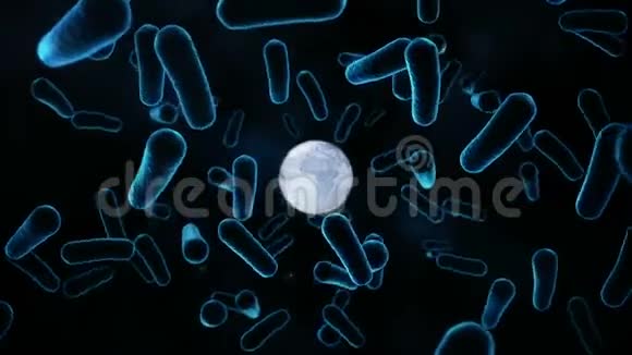 全球蓝色细菌和病毒动画视频的预览图
