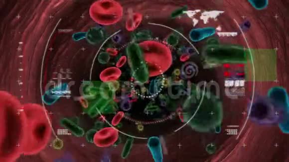 红细胞细菌和电晕病毒动画视频的预览图