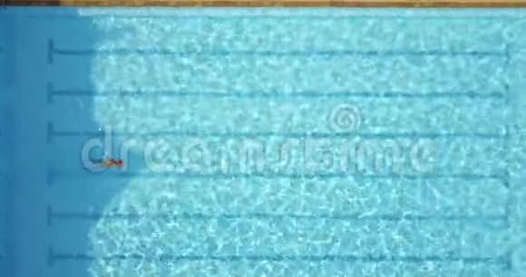 运动员在游泳池里蛙泳视频的预览图