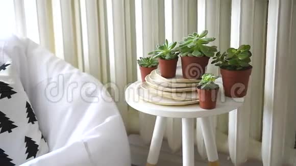 斯堪的纳维亚室内家居装饰多汁和舒适的椅子视频的预览图