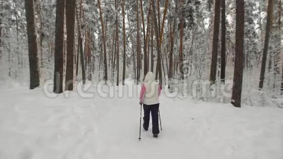 精力充沛的女人在森林里做活跃的北欧步行运动一位年老的女士快速地踩着滑雪板视频的预览图