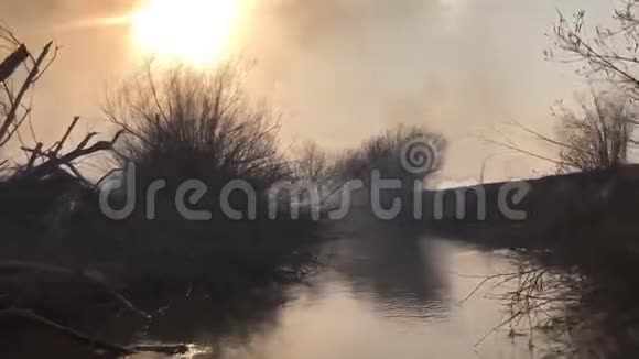 江岸火灾引起的环境污染生态问题视频的预览图