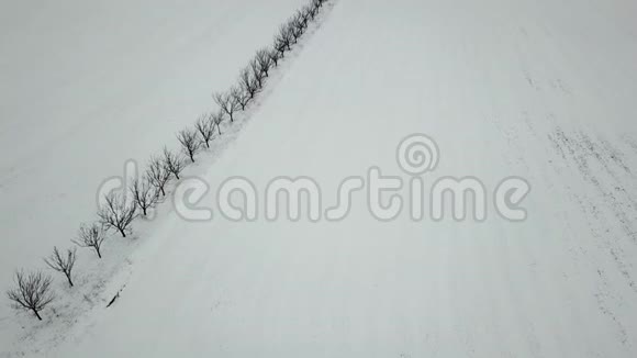 冰雪覆盖的冻树鸟瞰视频的预览图