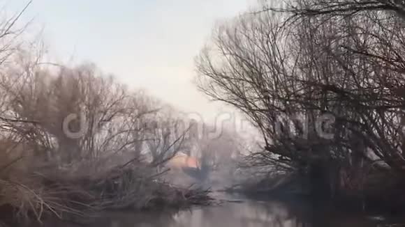 江岸火灾引起的环境污染生态问题视频的预览图