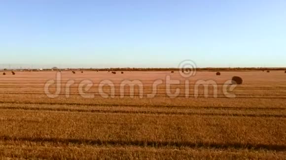 空中视野在田野上滚动干草堆稻草收割小麦带着一捆干草的田园景观片段视频的预览图