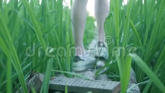 一个女孩沿着芦苇丛中湖边的一座小木桥走着视频的预览图