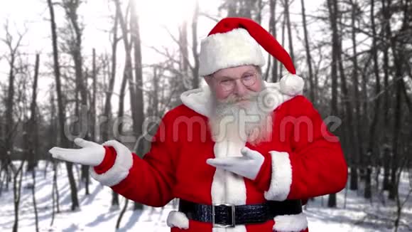 开朗圣诞老人营销视频的预览图