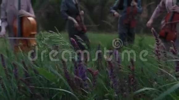 女音乐四重奏在开花草地上演奏视频的预览图