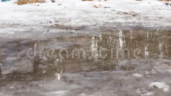 穿着橡胶靴站在水坑里春天融化的雪视频的预览图