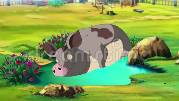 灰猪睡在水坑里视频的预览图