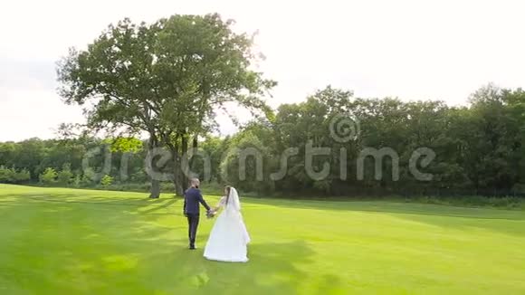新婚夫妇走在绿色的草坪上视频的预览图