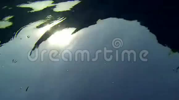 水下的阳光视频的预览图