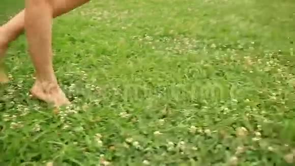 女人光着脚走过绿草地苜蓿花视频的预览图