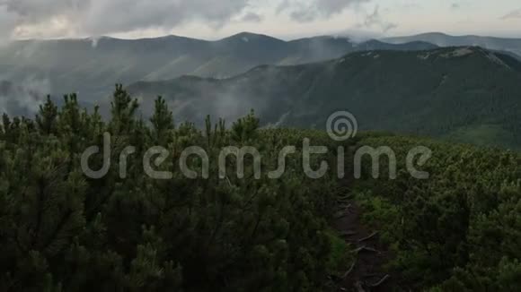 沿着云杉背景的山地旅游小径上一片快速流动的云平稳运动视频的预览图