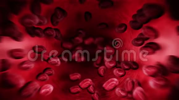 人体循环系统人血管3红细胞D环动画医疗保健符号视频的预览图