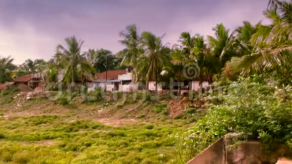 许多树后面的房子的景色蓝天和云彩经过印度村庄的房子视频的预览图