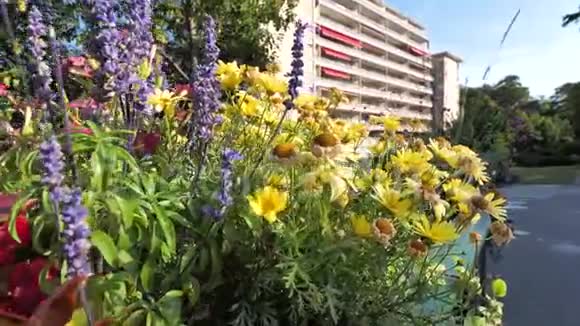 透过花园花卉观赏法国高大的公寓楼视频的预览图