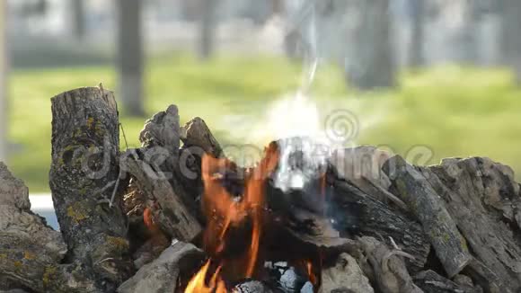 篝火或篝火中燃烧的木头视频的预览图
