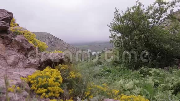山野上有黄色的花和白色的房子视频的预览图