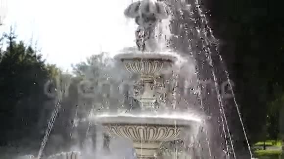 阳光下的喷泉视频的预览图