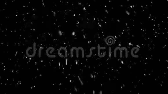 高质量的运动动画雪落在黑色背景视频的预览图