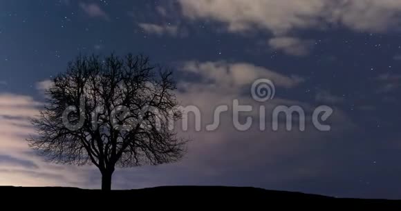 多云的夜空和孤独的树视频的预览图