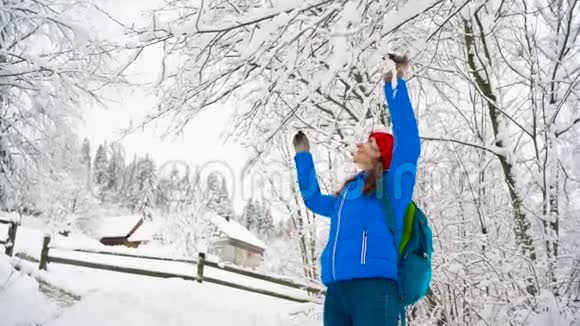 女人在玩她在摇动树枝雪落在她身上晴朗晴朗的霜冻天气视频的预览图