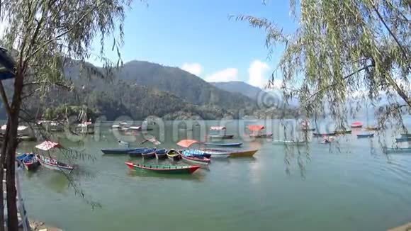 多彩旅游船菲瓦湖山和树视频的预览图