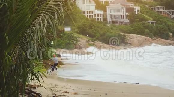 快乐的年轻人玩狗并坚持在热带海滩慢动作1920x1080视频的预览图