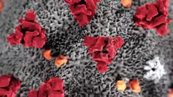 冠状病毒COVID19动画微生物细菌视频的预览图
