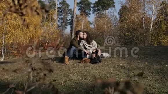 一对坐在公园草地上的夫妇视频的预览图