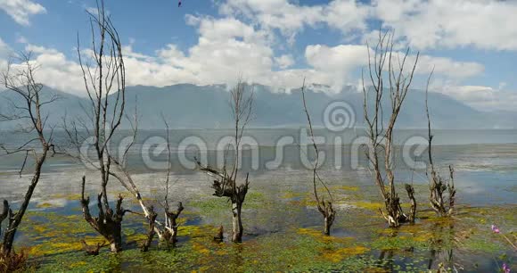 中国洱海大理4K枯水山云倒影湖视频的预览图