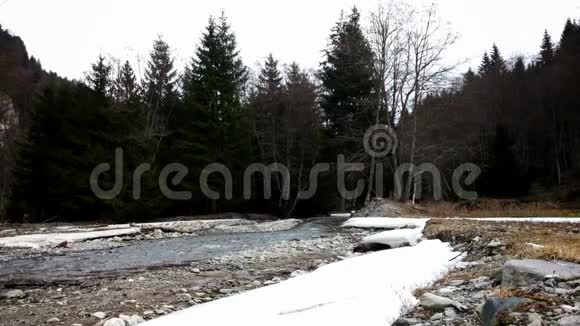 在冬天流过森林的河流视频的预览图