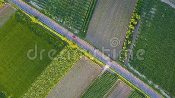 垂直飞行在4K路上的汽车驾驶在绿色的乡村驾驶的汽车顶部的空中射击视频的预览图