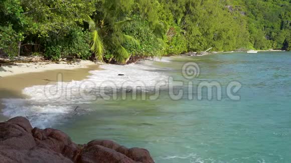 塞舌尔普拉斯林岛美丽的沙滩海洋和滚滚的波浪奇异的树木沿着视频的预览图