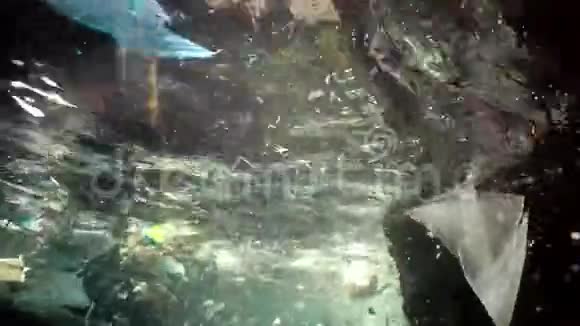 海洋的塑料污染塑料袋瓶子袋子与水母一起漂浮在水中保加利亚黑海视频的预览图