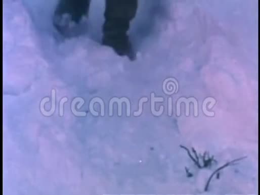 人拖着原木穿过雪地视频的预览图
