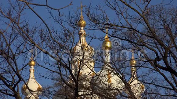 圣彼得堡的斯莫尼大教堂4K视频的预览图